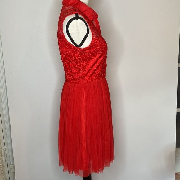 Say What? Dress Red Sleeveless Lace Stain Chiffon Fit and Flair Holiday Dress - Picture 6 of 16